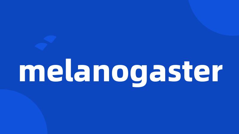 melanogaster
