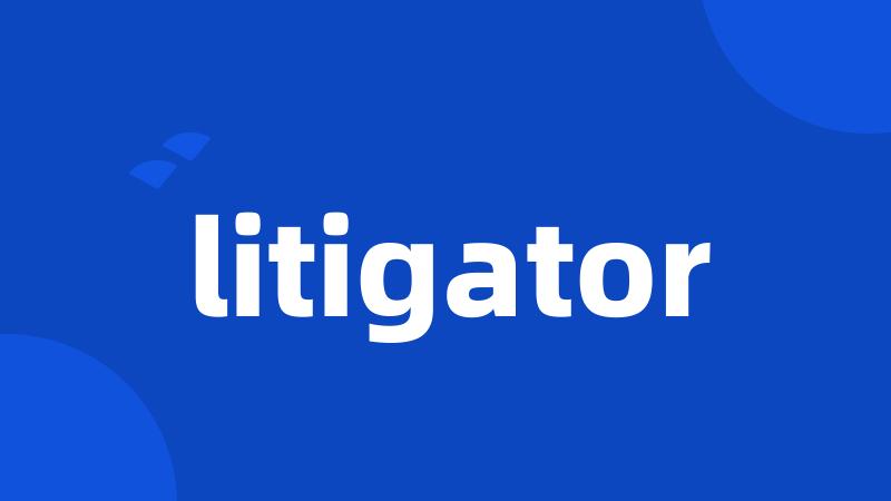 litigator