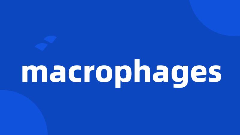 macrophages