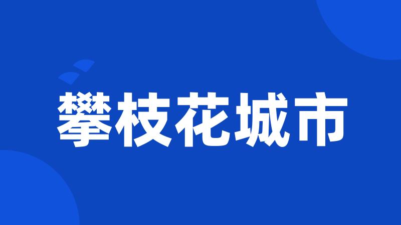 攀枝花城市