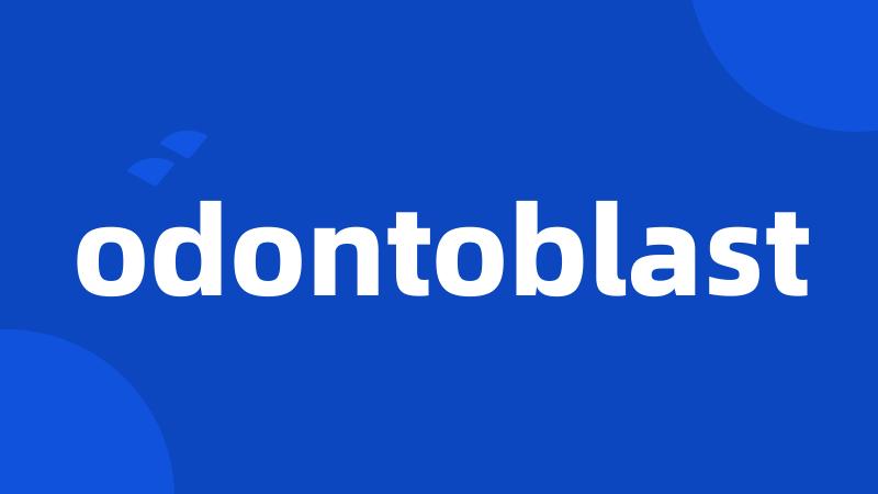 odontoblast