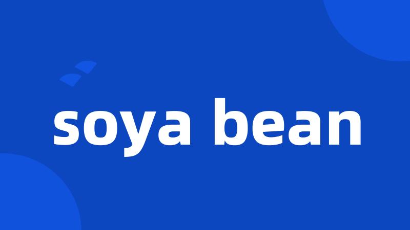 soya bean