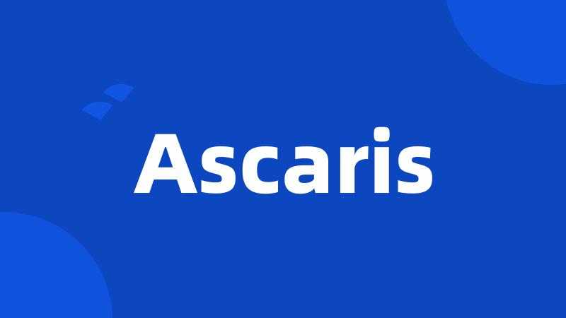 Ascaris