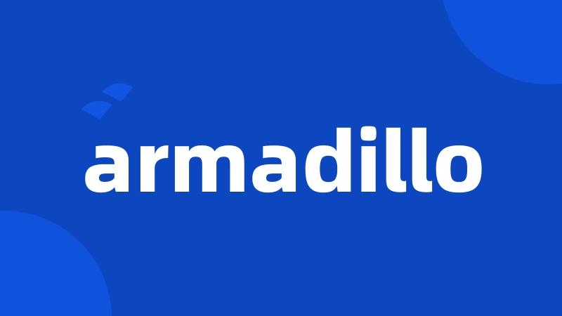 armadillo