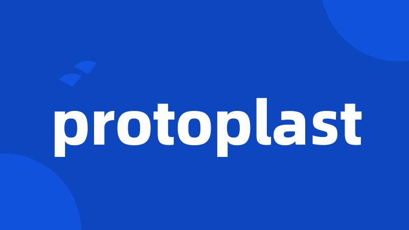 protoplast