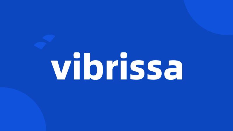 vibrissa