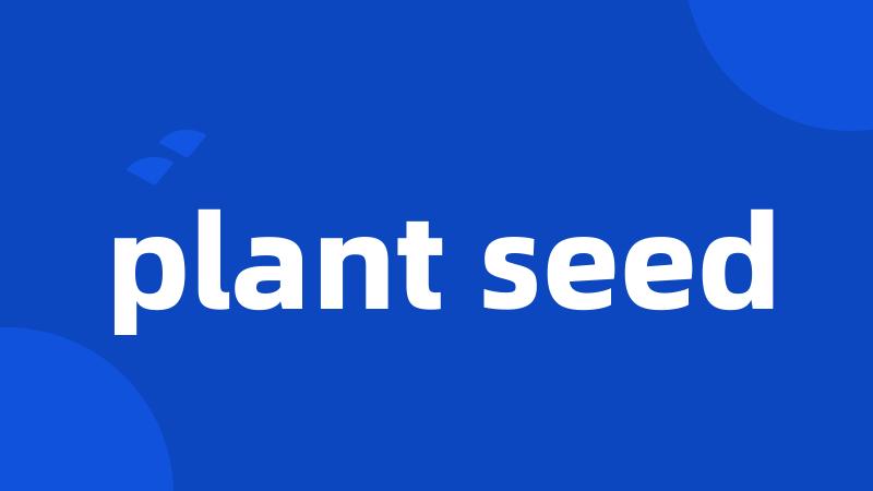 plant seed