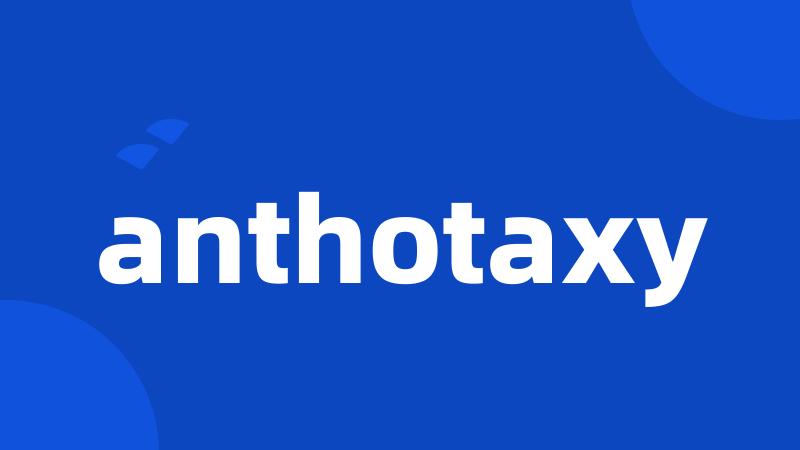 anthotaxy