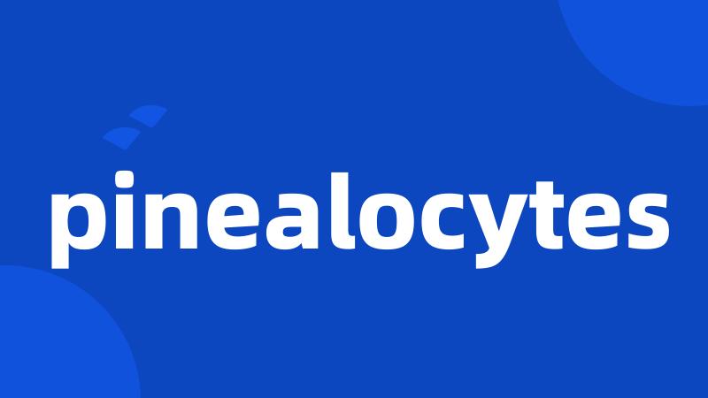 pinealocytes