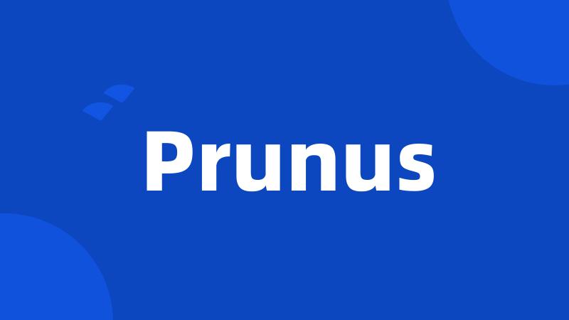 Prunus