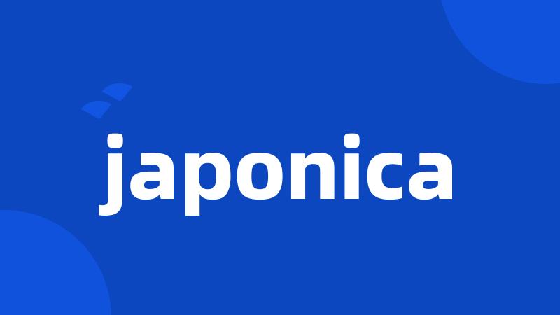 japonica