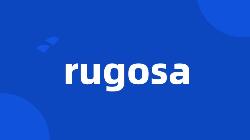 rugosa