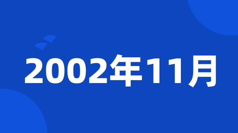 2002年11月