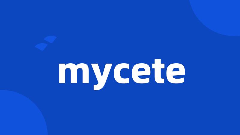 mycete