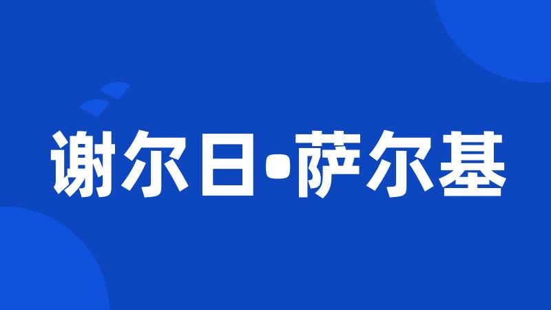 谢尔日•萨尔基