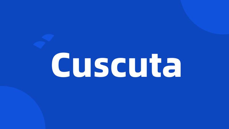 Cuscuta