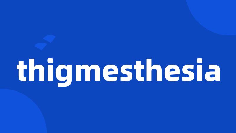 thigmesthesia