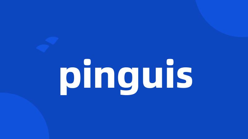 pinguis