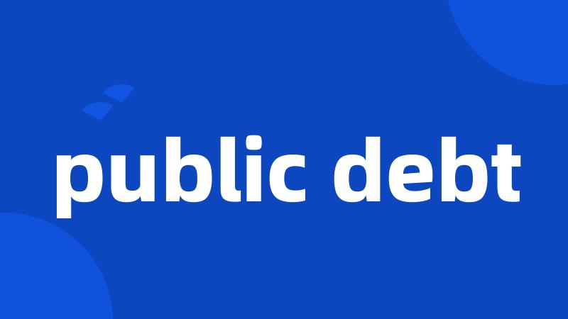 public debt