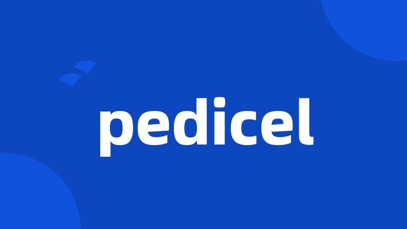 pedicel