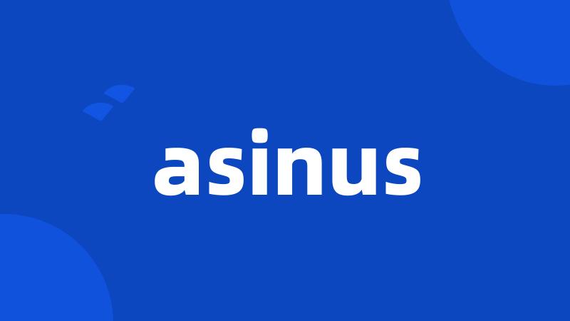 asinus