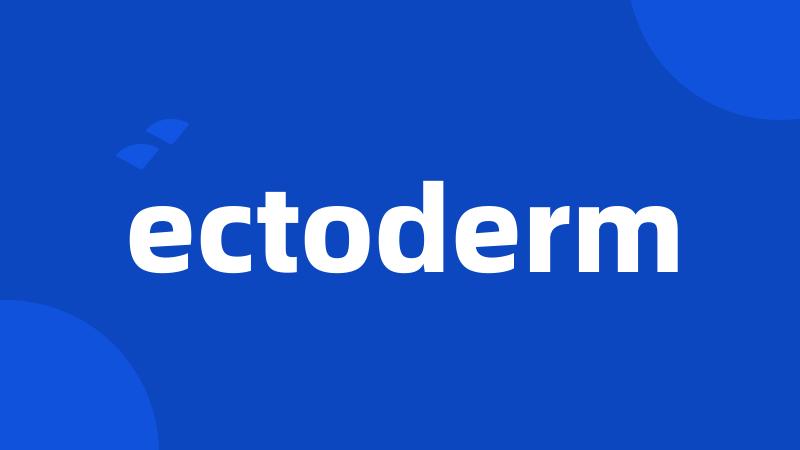 ectoderm