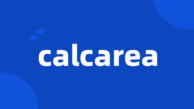 calcarea