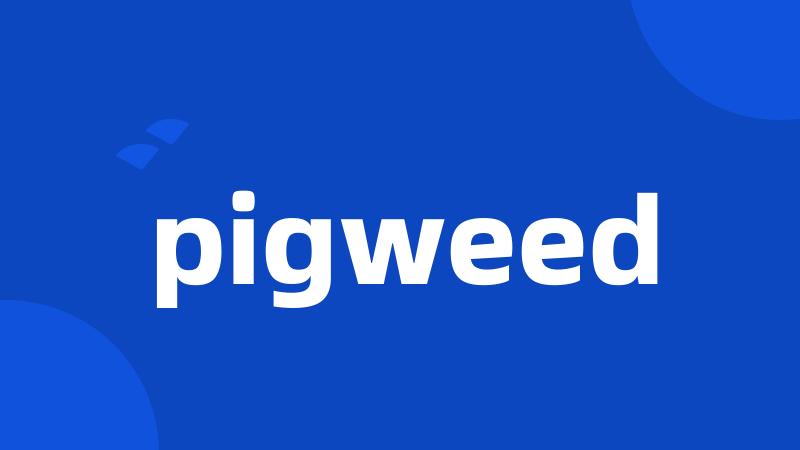 pigweed