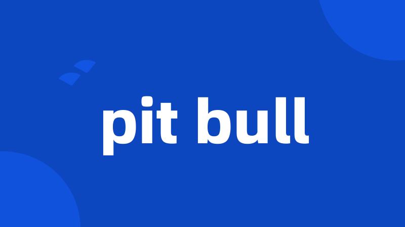 pit bull