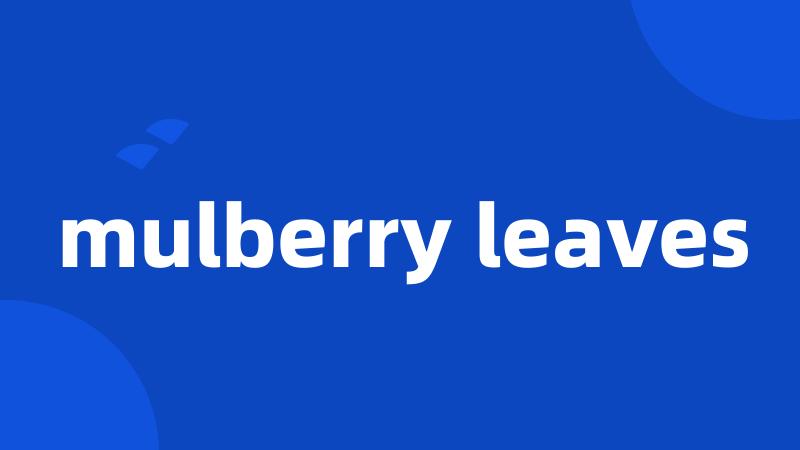 mulberry leaves