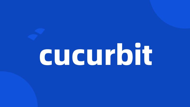 cucurbit