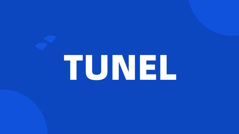 TUNEL