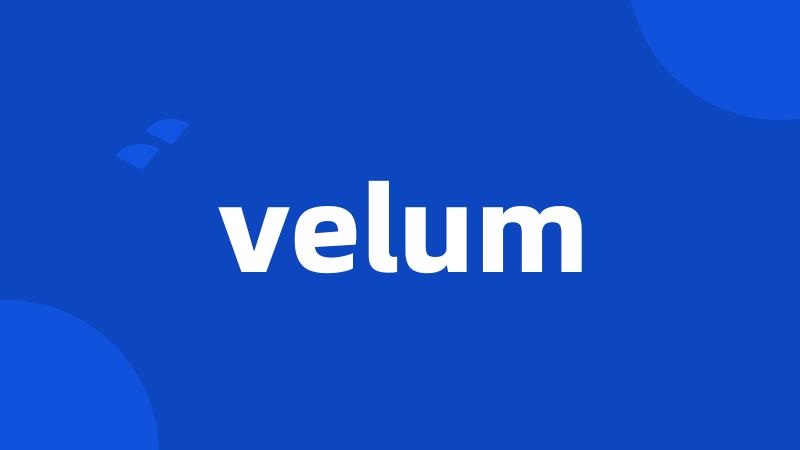 velum