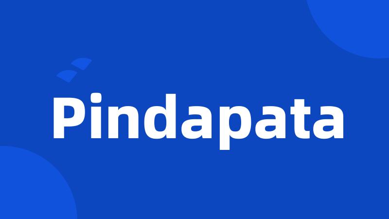 Pindapata