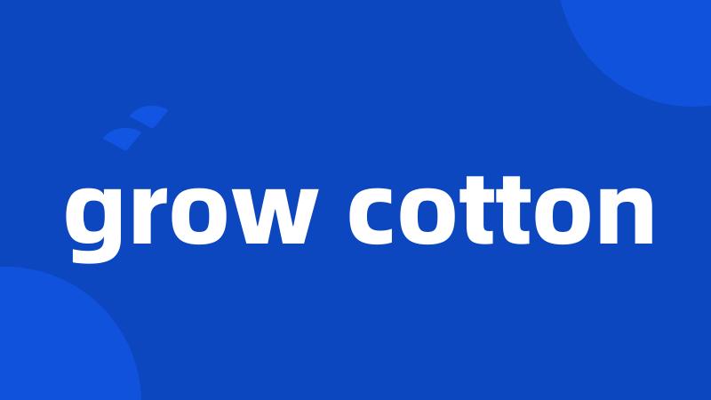 grow cotton