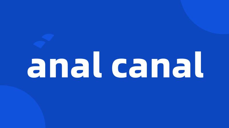 anal canal