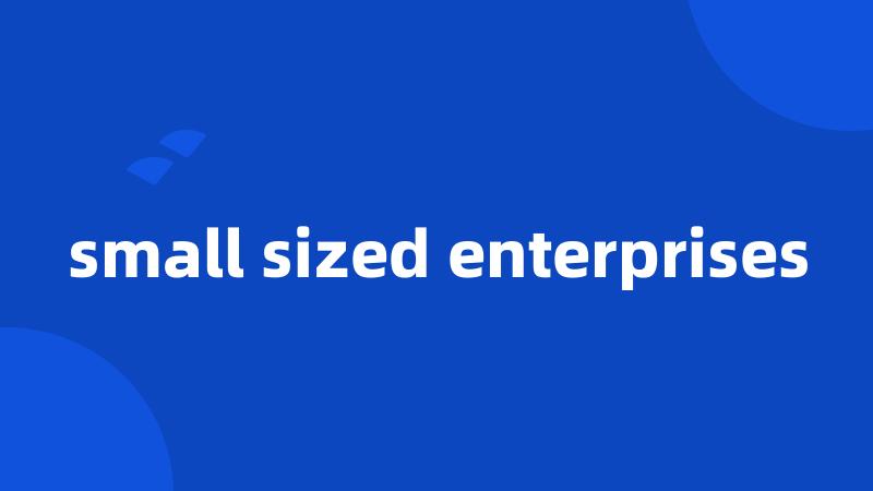 small sized enterprises