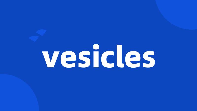 vesicles