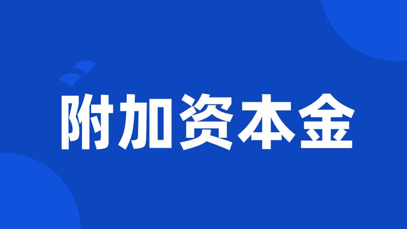 附加资本金