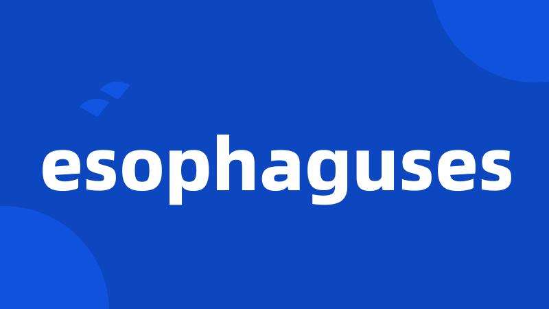 esophaguses