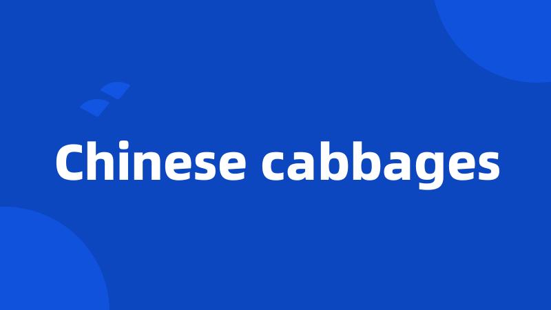 Chinese cabbages