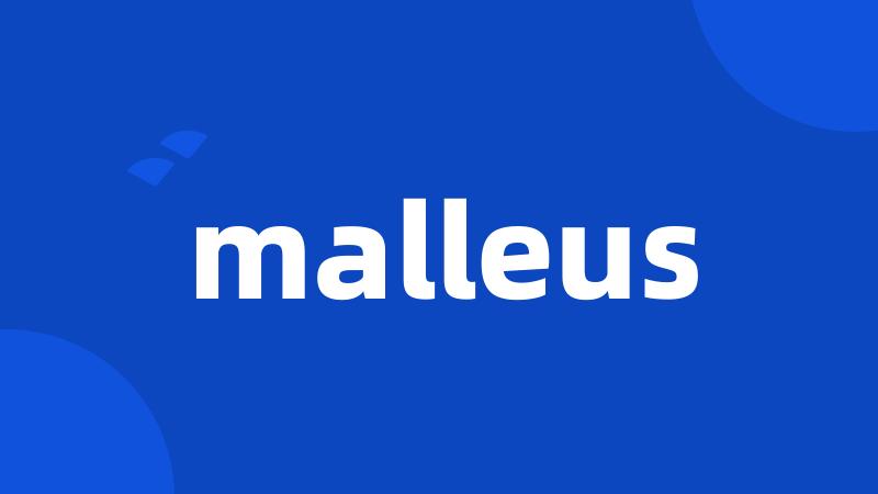 malleus