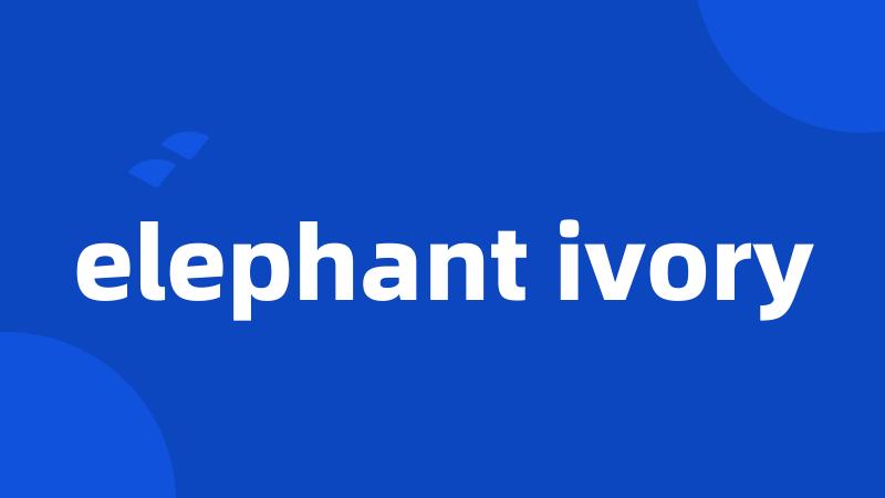 elephant ivory