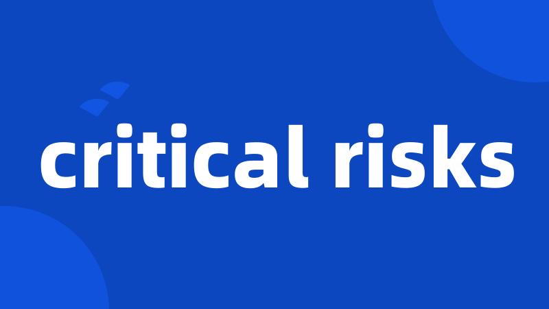 critical risks