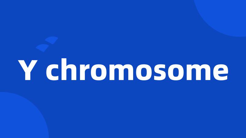 Y chromosome