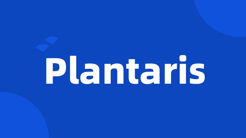 Plantaris