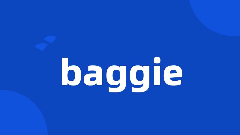 baggie