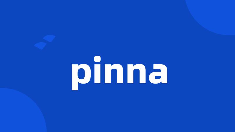 pinna