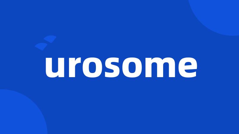 urosome