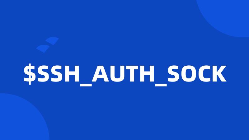 $SSH_AUTH_SOCK